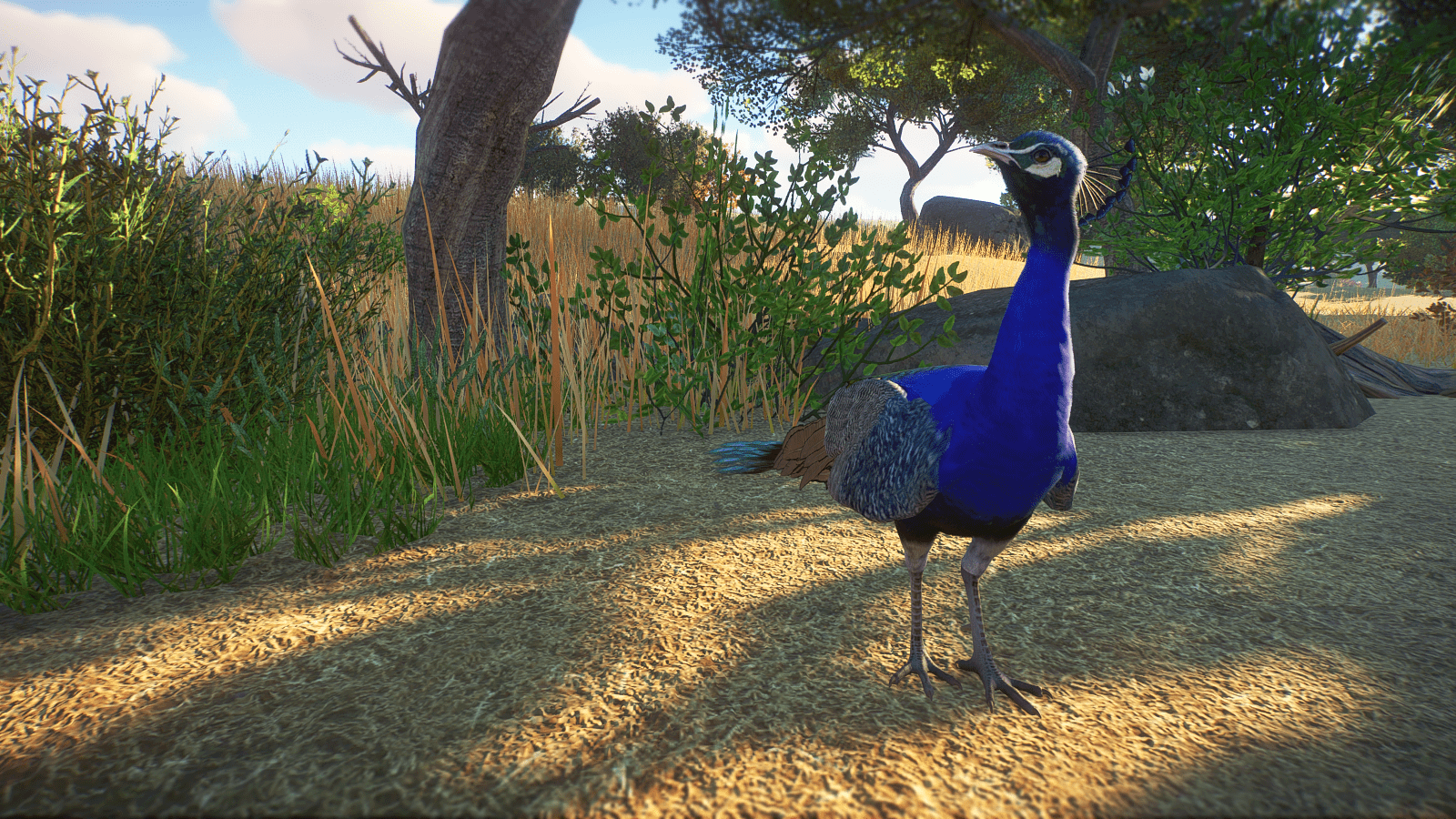 Planet_Zoo_Screenshot_2022.10.26_-_19.58.05.66.png