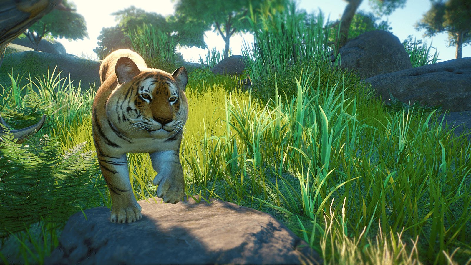 Planet_Zoo_Screenshot_2022.10.29_-_13.20.25.74.png
