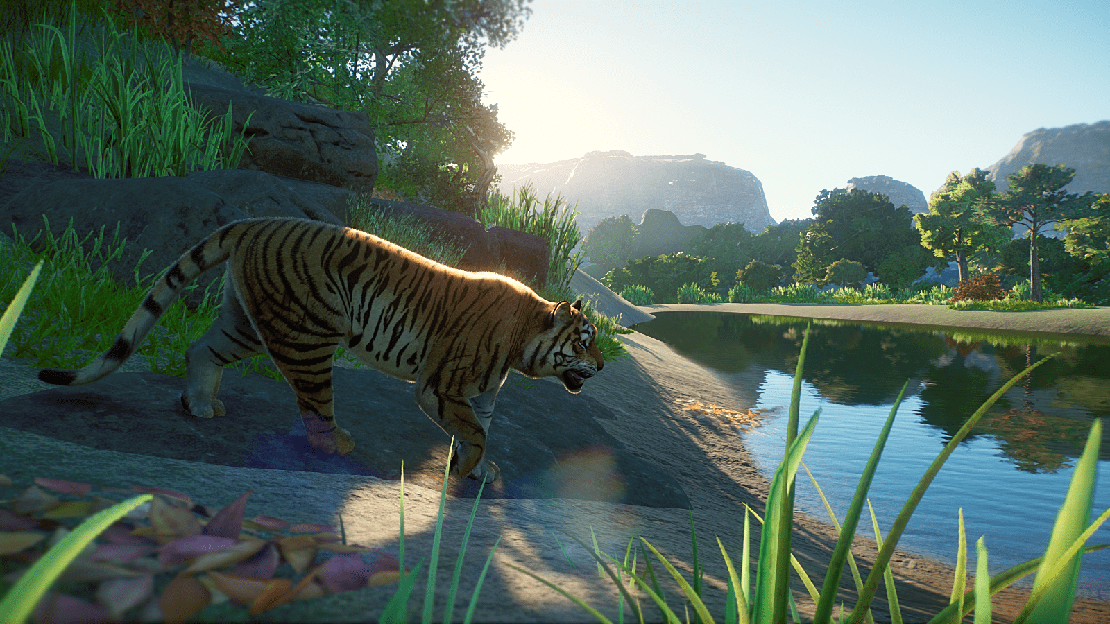 Planet_Zoo_Screenshot_2022.10.29_-_13.47.22.95.png