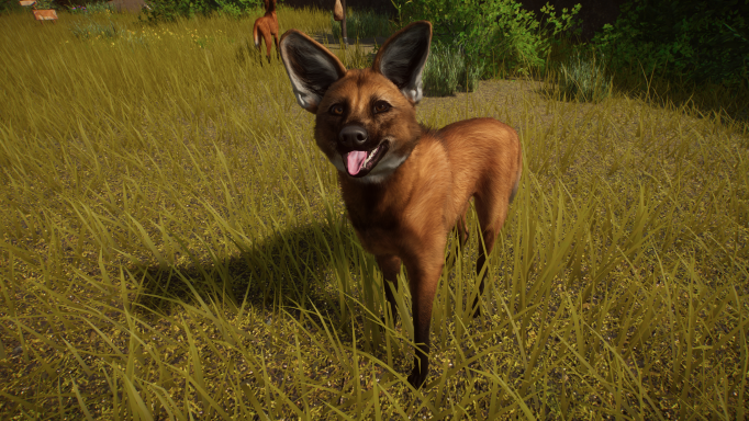 Planet_Zoo_Screenshot_2022.12.23_-_12.53.30.93.png