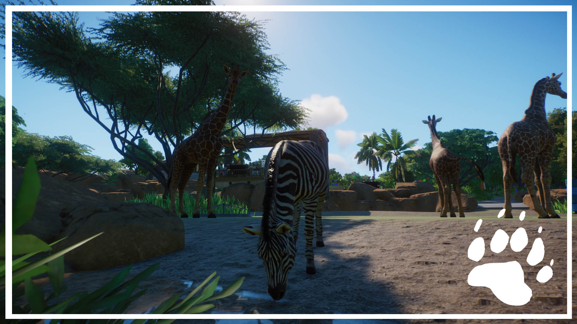 PlanetZoo 2020-11-25 14-06-31-406.jpg