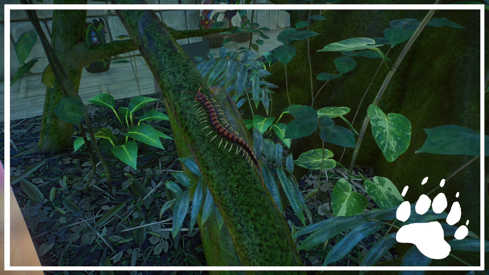 PlanetZoo 2020-11-29 19-08-30-963.jpg