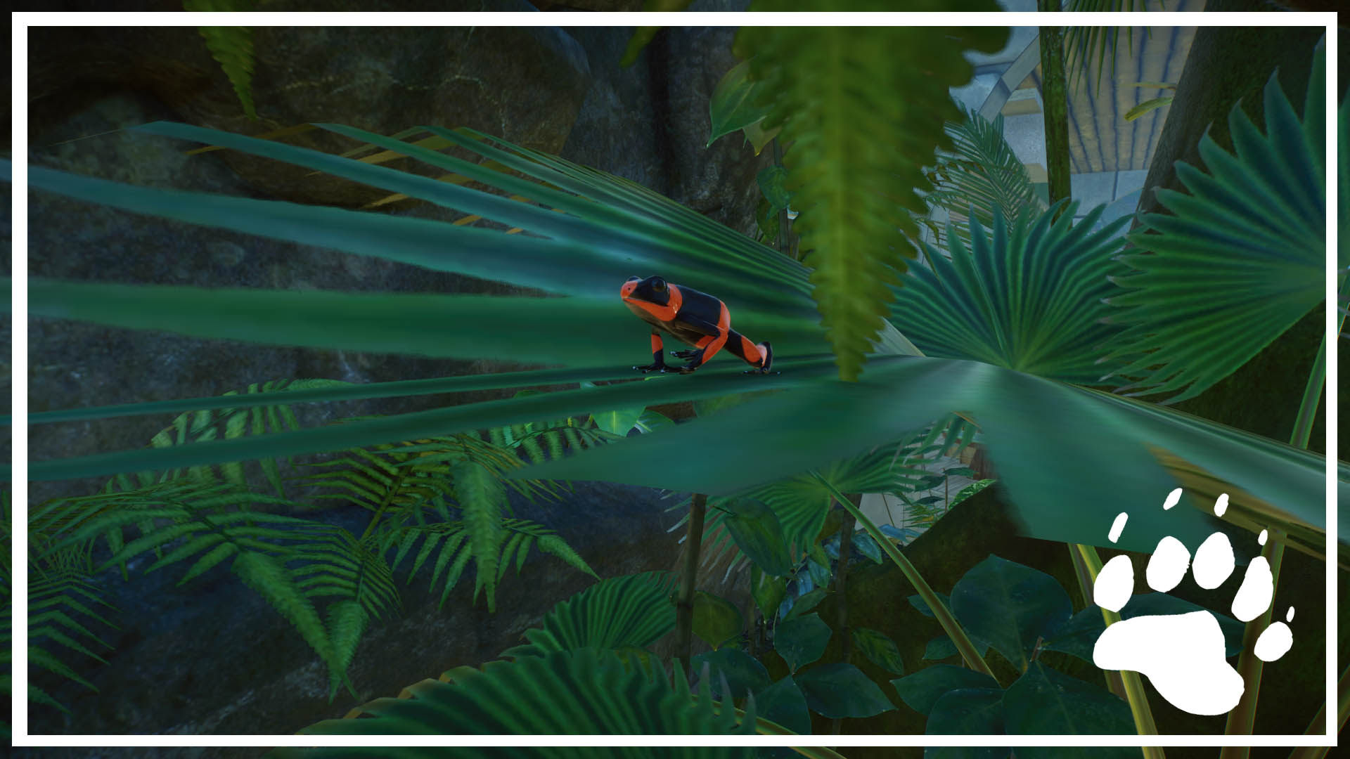 PlanetZoo 2020-11-29 19-12-01-672.jpg