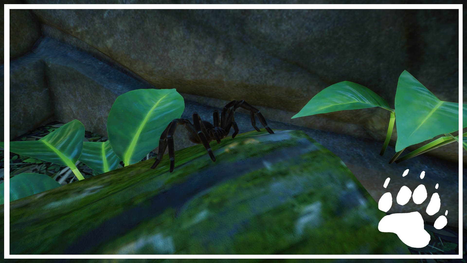 PlanetZoo 2020-11-29 19-13-22-134.jpg