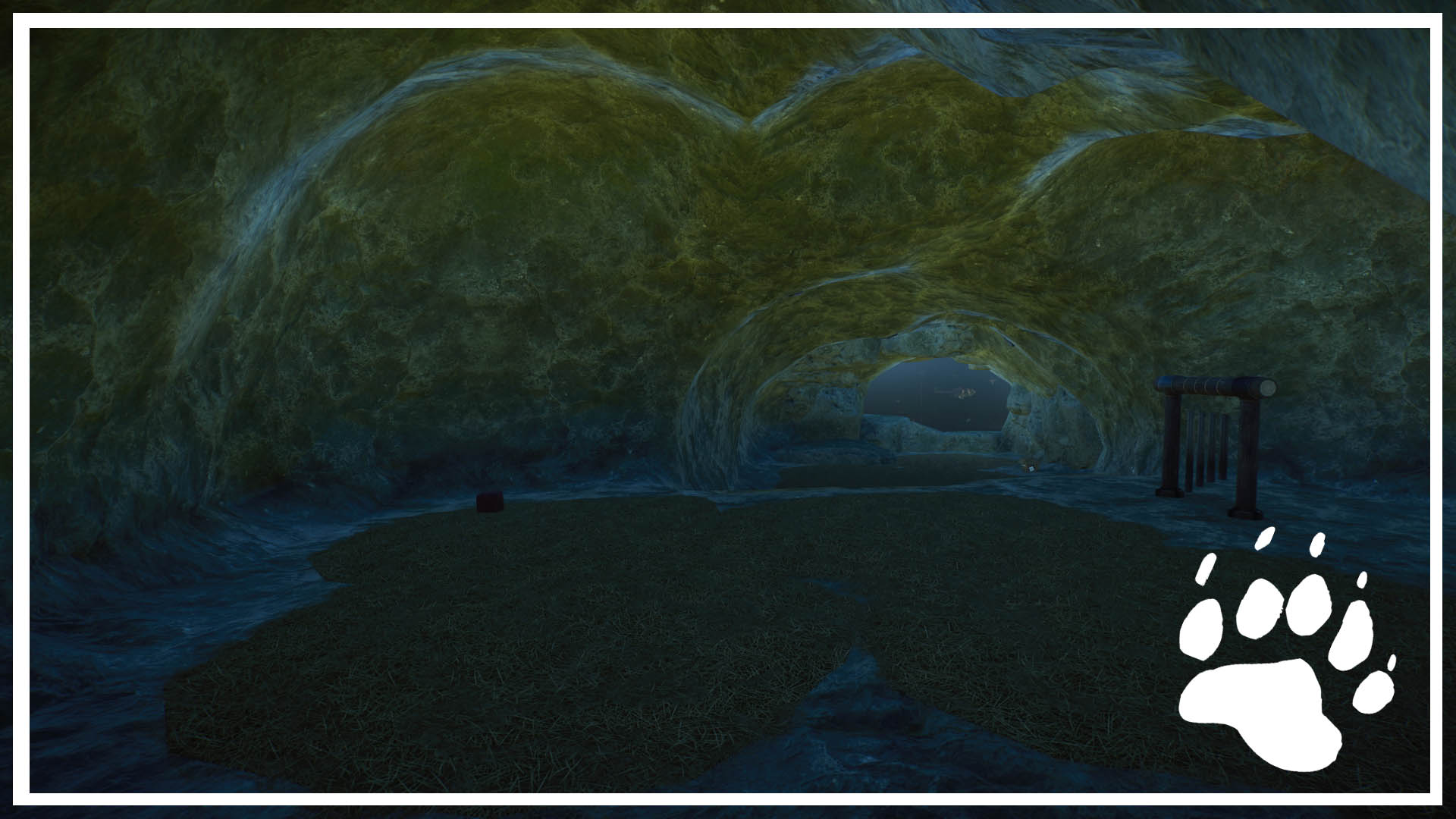PlanetZoo 2020-12-11 19-26-06-499.jpg