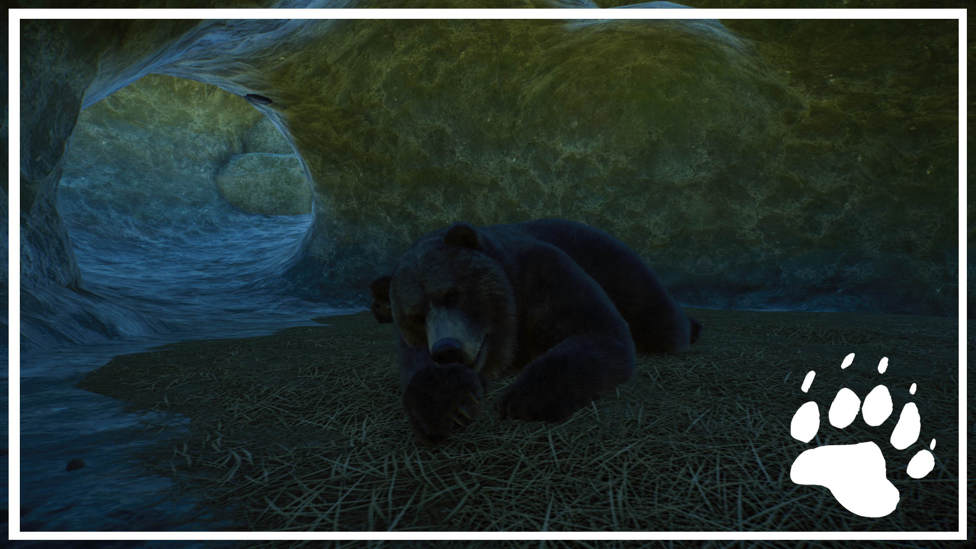 PlanetZoo 2020-12-11 21-11-19-791.jpg