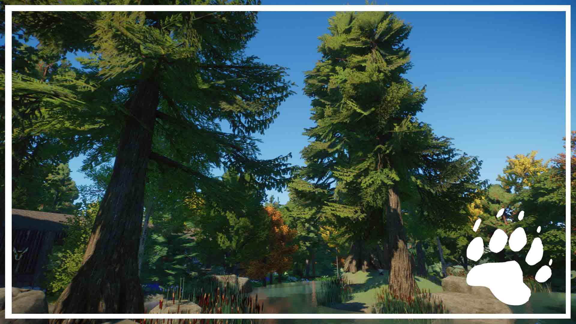 PlanetZoo 2020-12-15 18-42-59-684.jpg