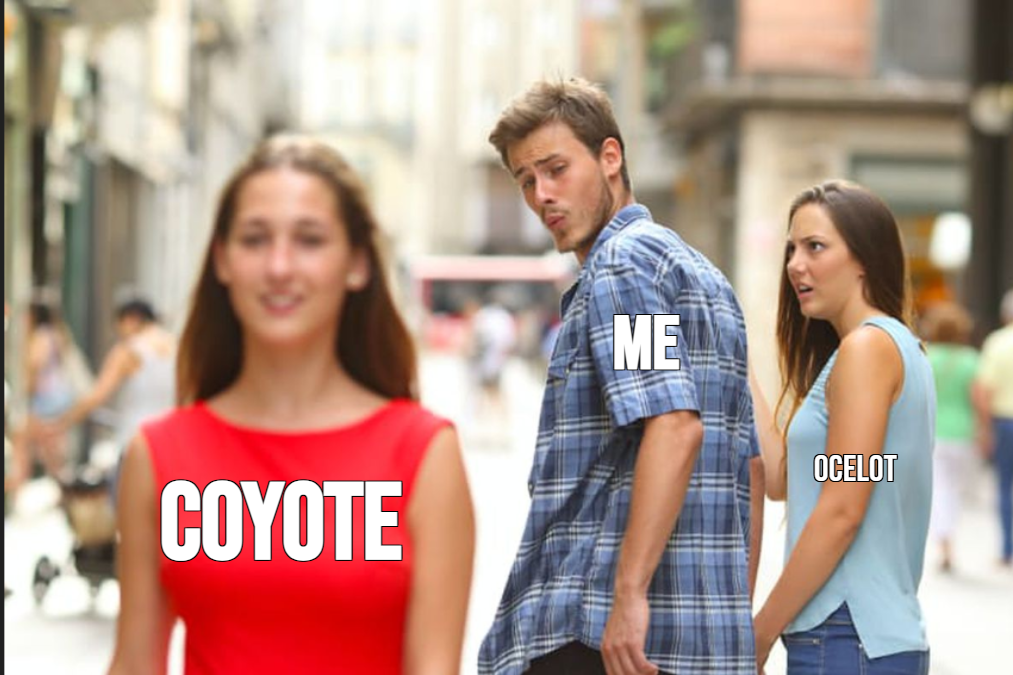 planetzoomeme1.png