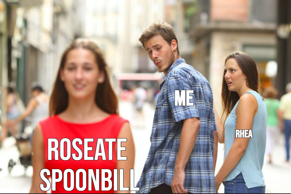 planetzoomeme12.png