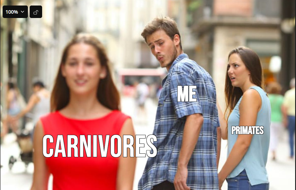 planetzoomeme8.png