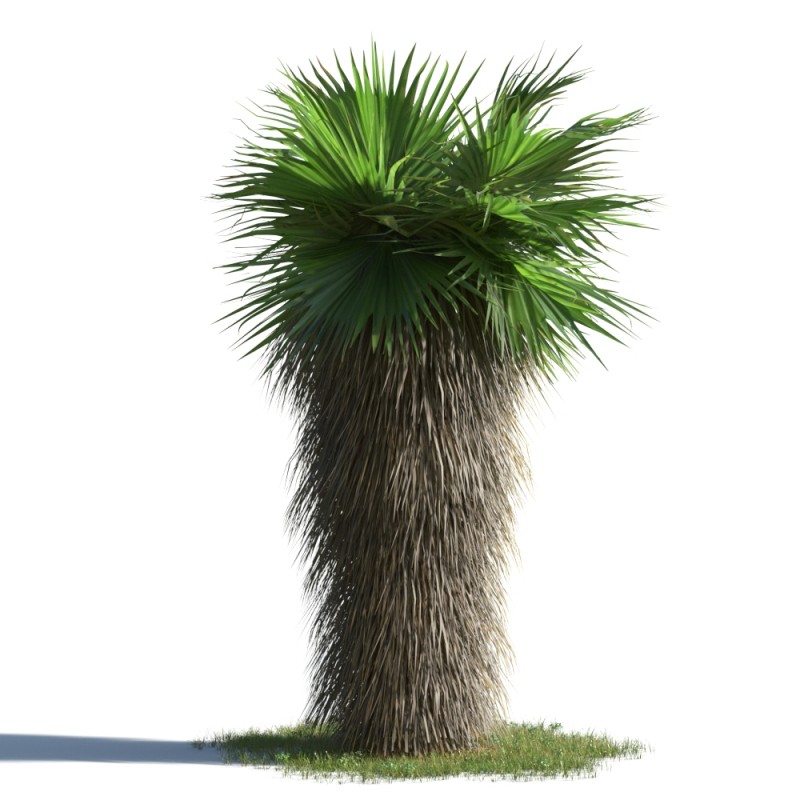 plant1.jpg