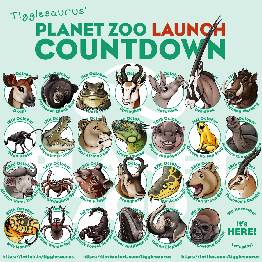 PlanZoo-countdown-LAUNCHsm.png