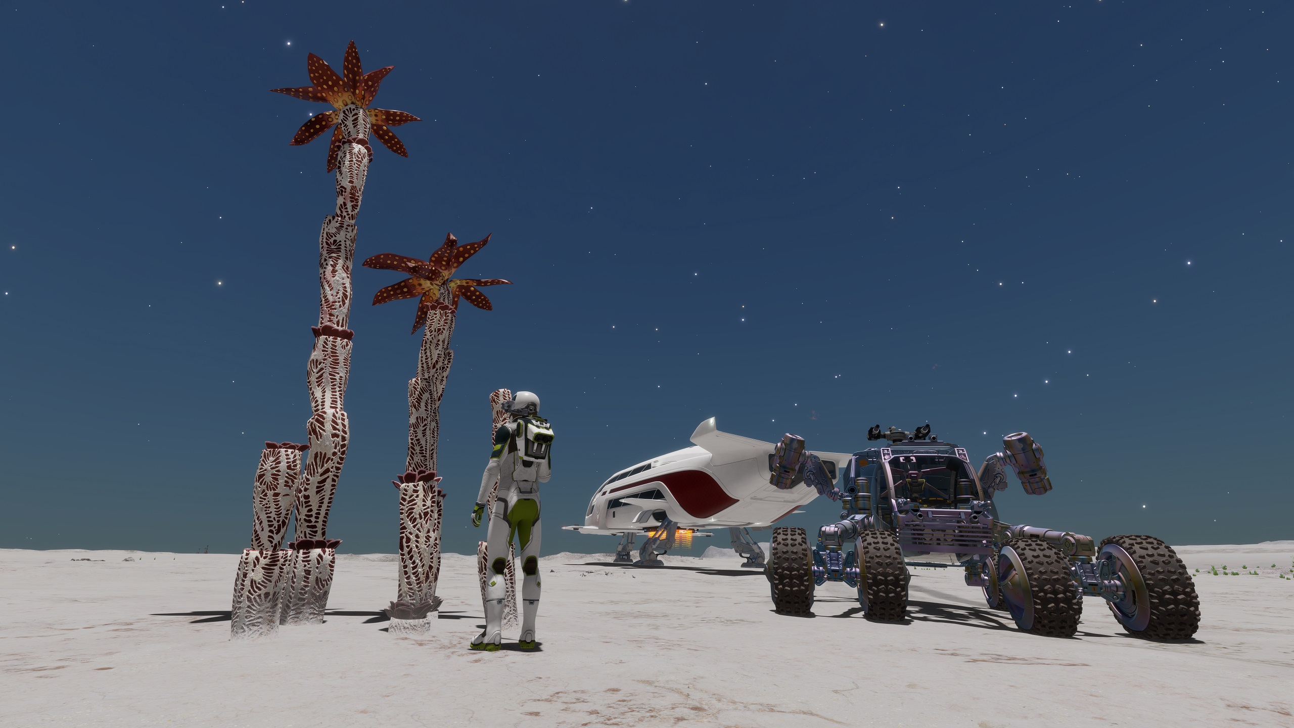 pleasing snow.jpg