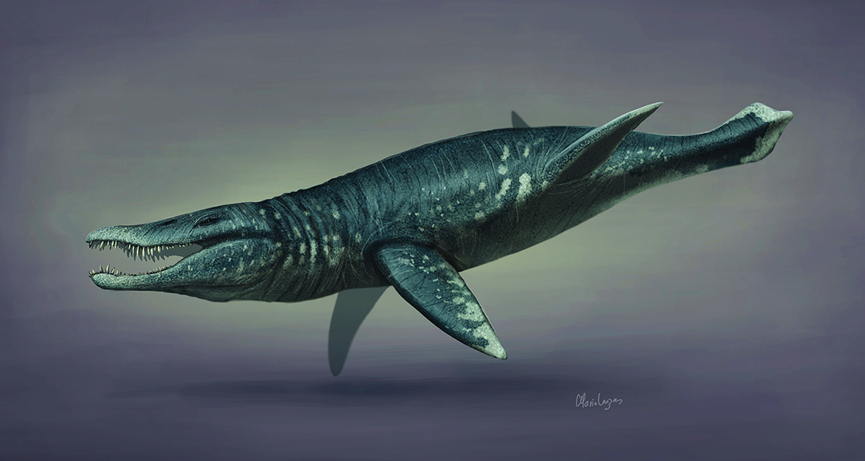 Pliosaurus_restoration_2019 (1).jpg