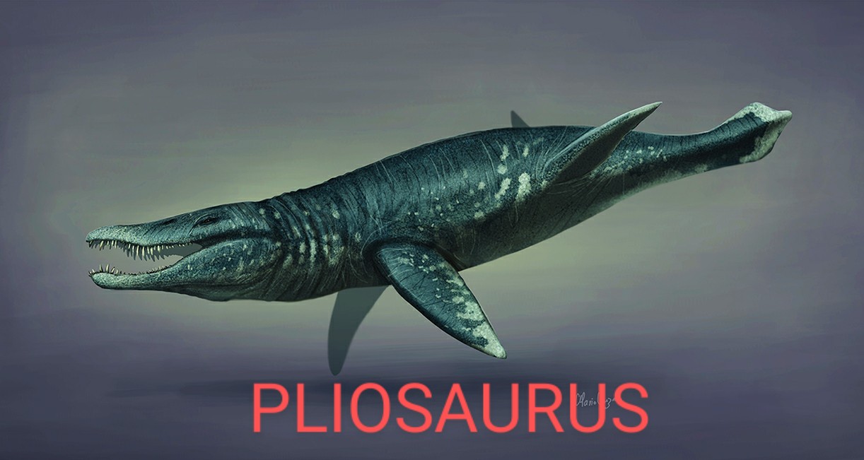 Pliosaurus_restoration_2019~2.jpg