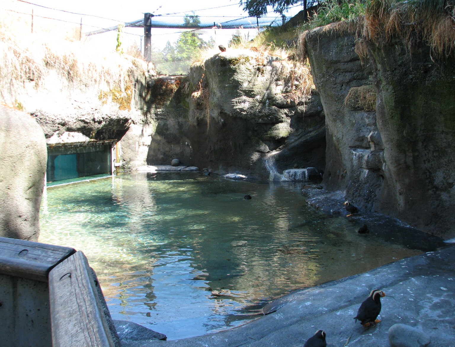 PointDefianceZoo26.jpg