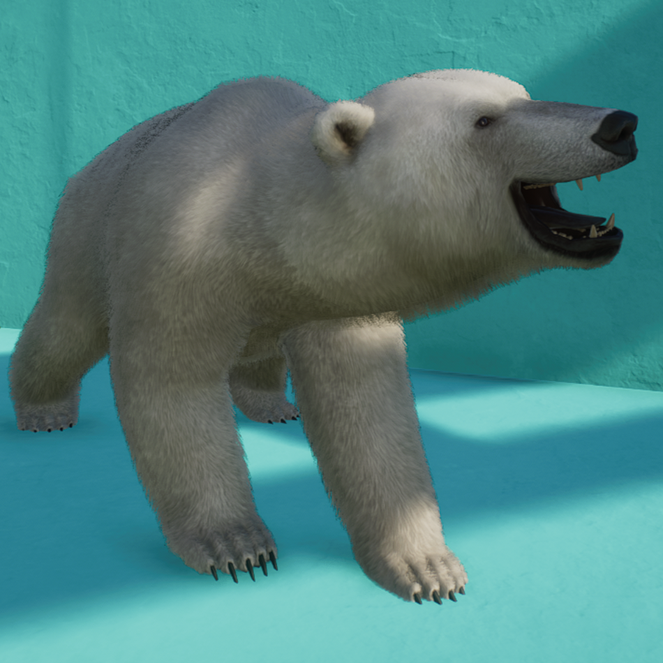 Polar Bear Avatar.png