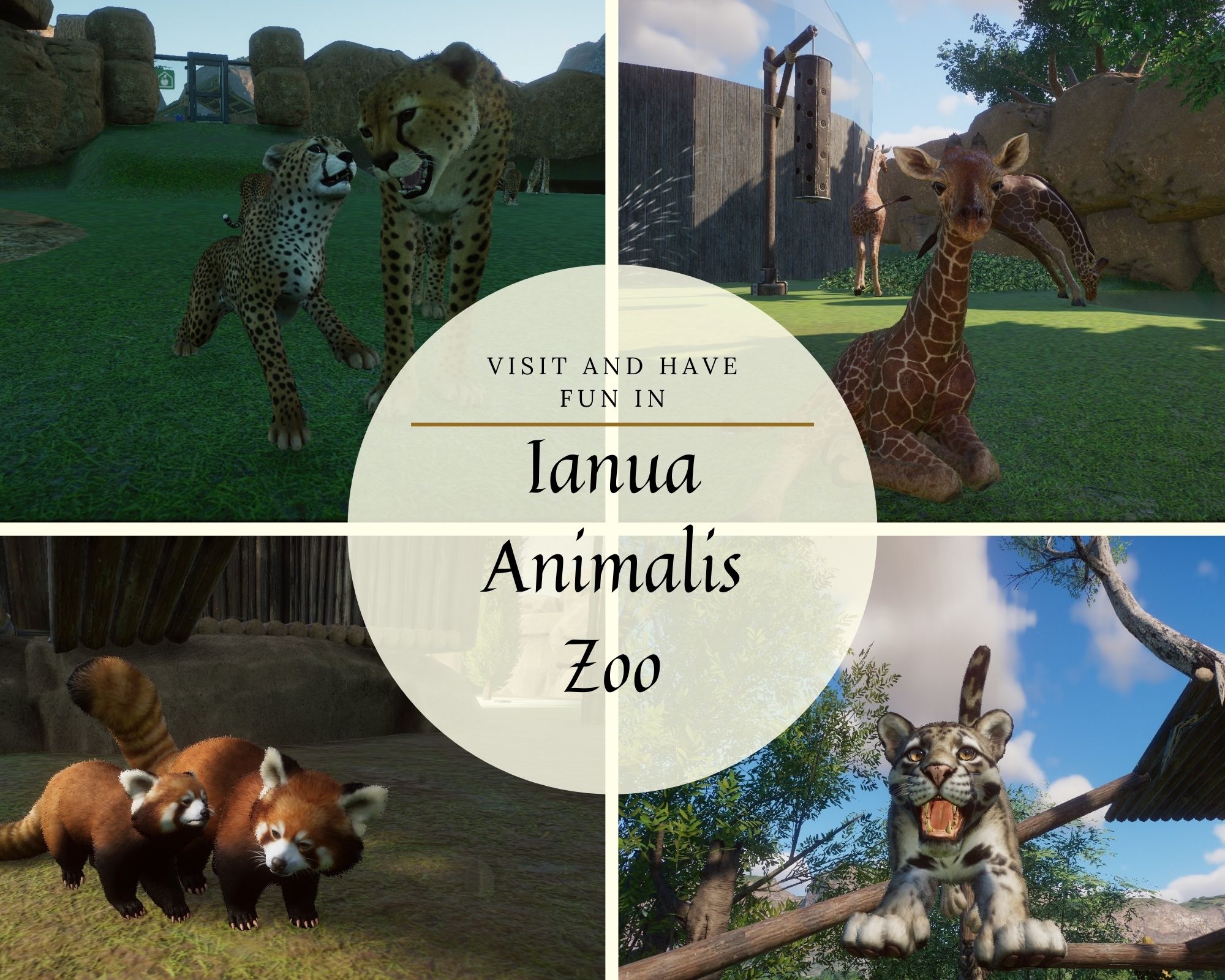 postcard_planetzoo.jpg