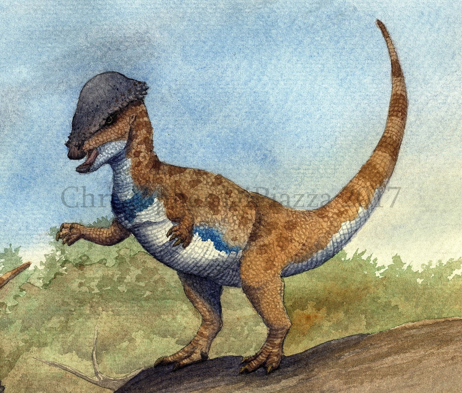 My Top 10 Herbivore Dinosaurs | Frontier Forums