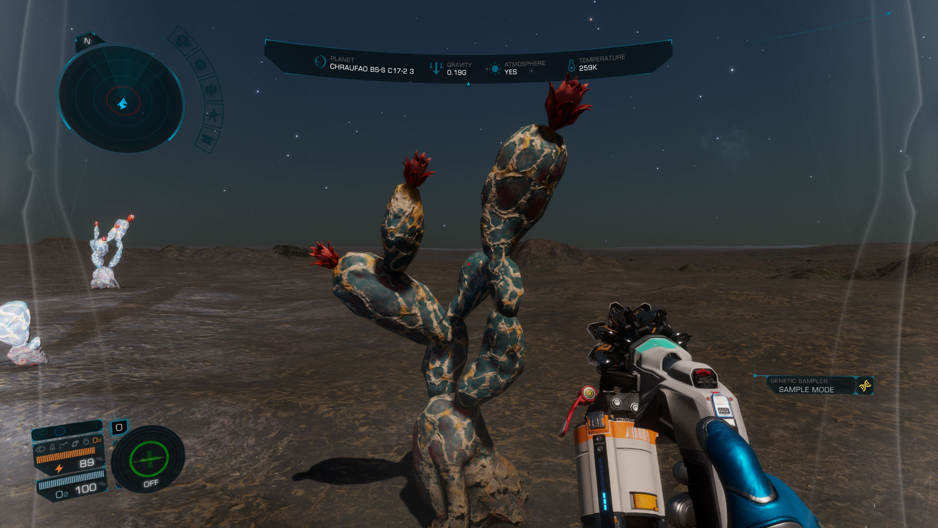 pretty-cactus.jpg