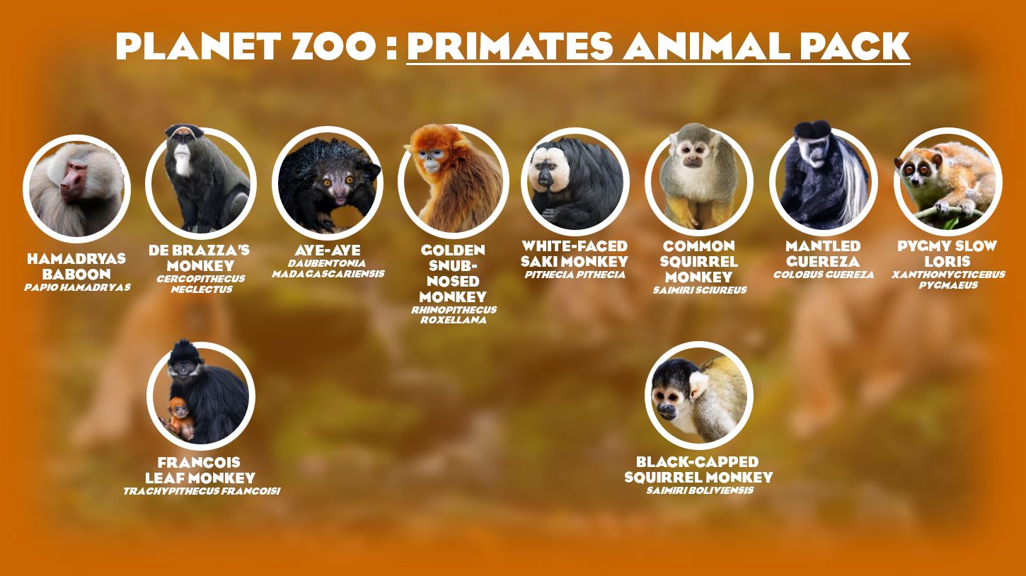 PrimatesAnimalPack.JPG