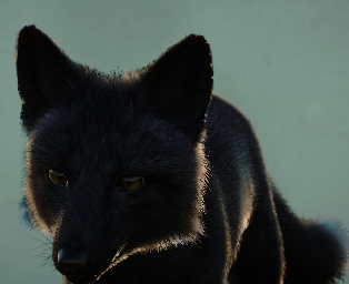 Profies BlackFox 1.png