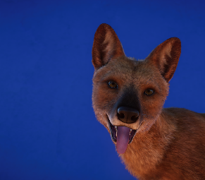 Profies Dhole2.png