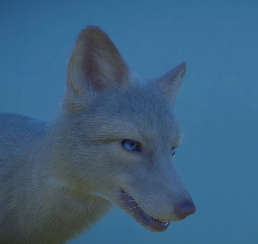 Profies WhiteFox 1.png