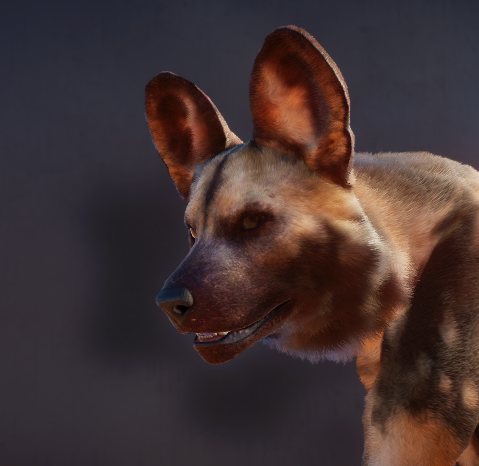 Profies WildDog2.png