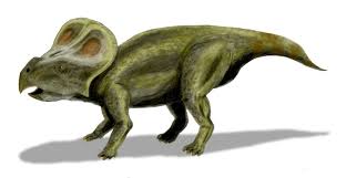 protoceratops.jpg