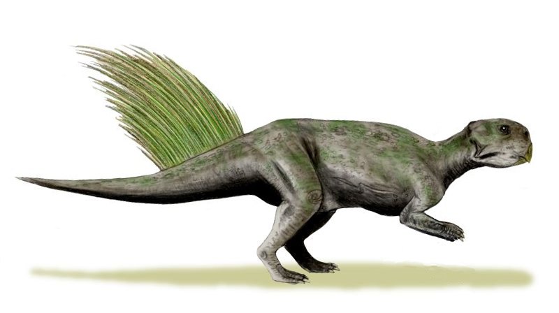 Psittacosaurus_mongoliensis_whole_BW.jpg