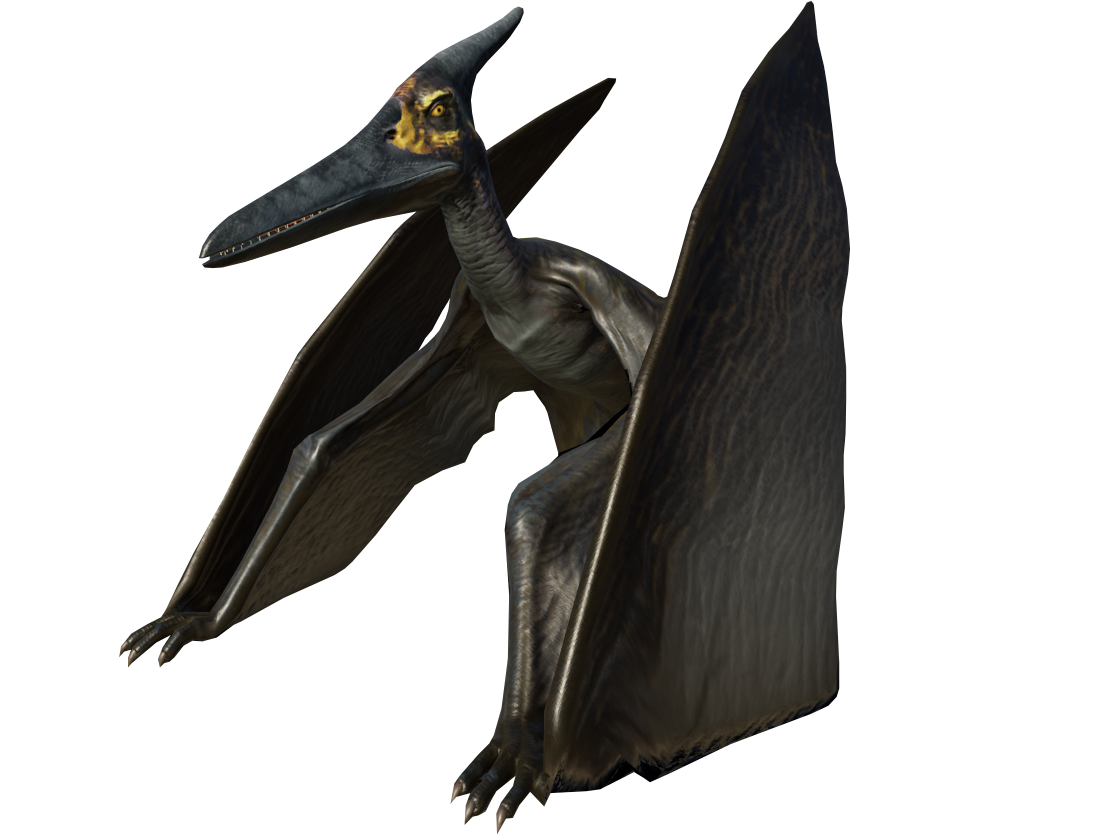 PteraCoastal.png