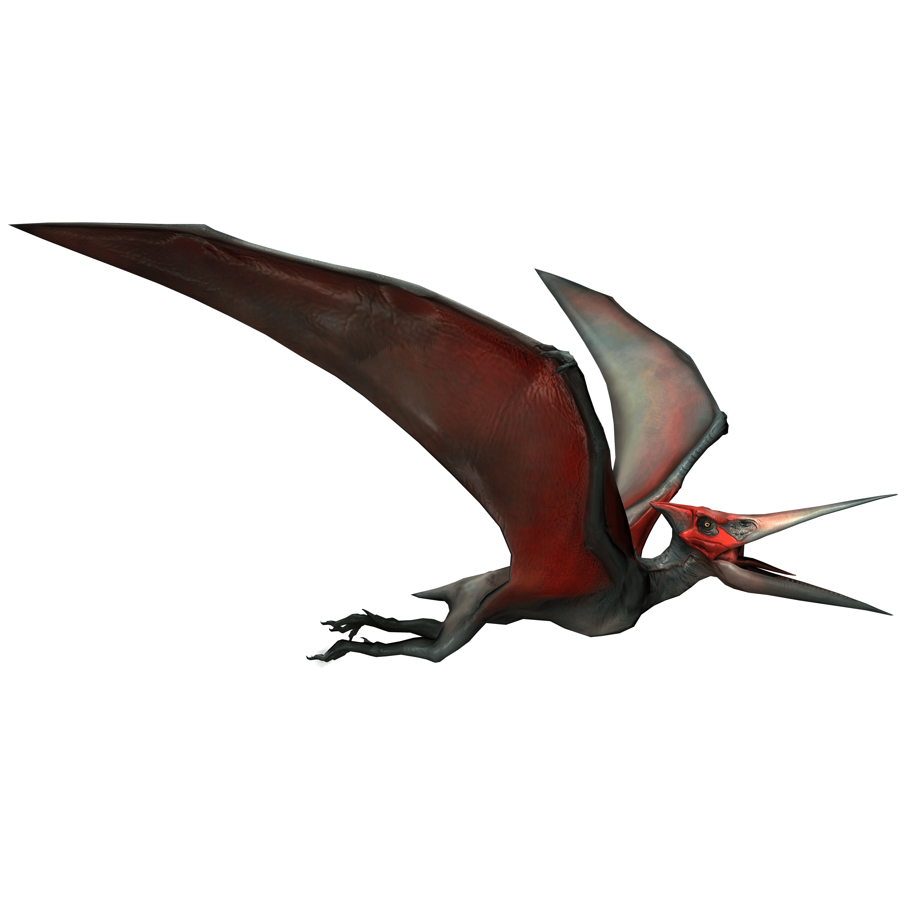 Pteranodon-profile.png