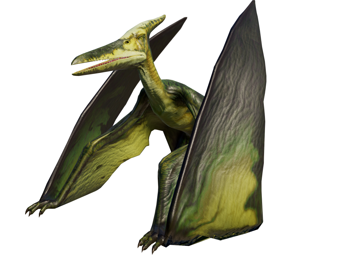 PteraWetland.png