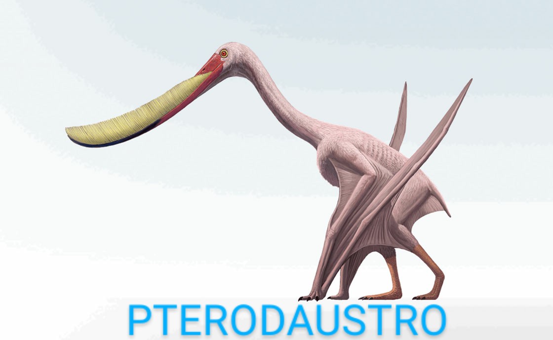 Pterodaustro~3.jpg