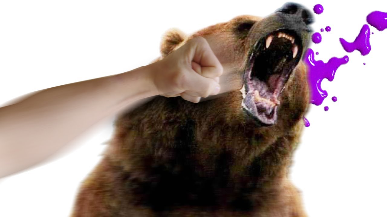 punch bear.jpg