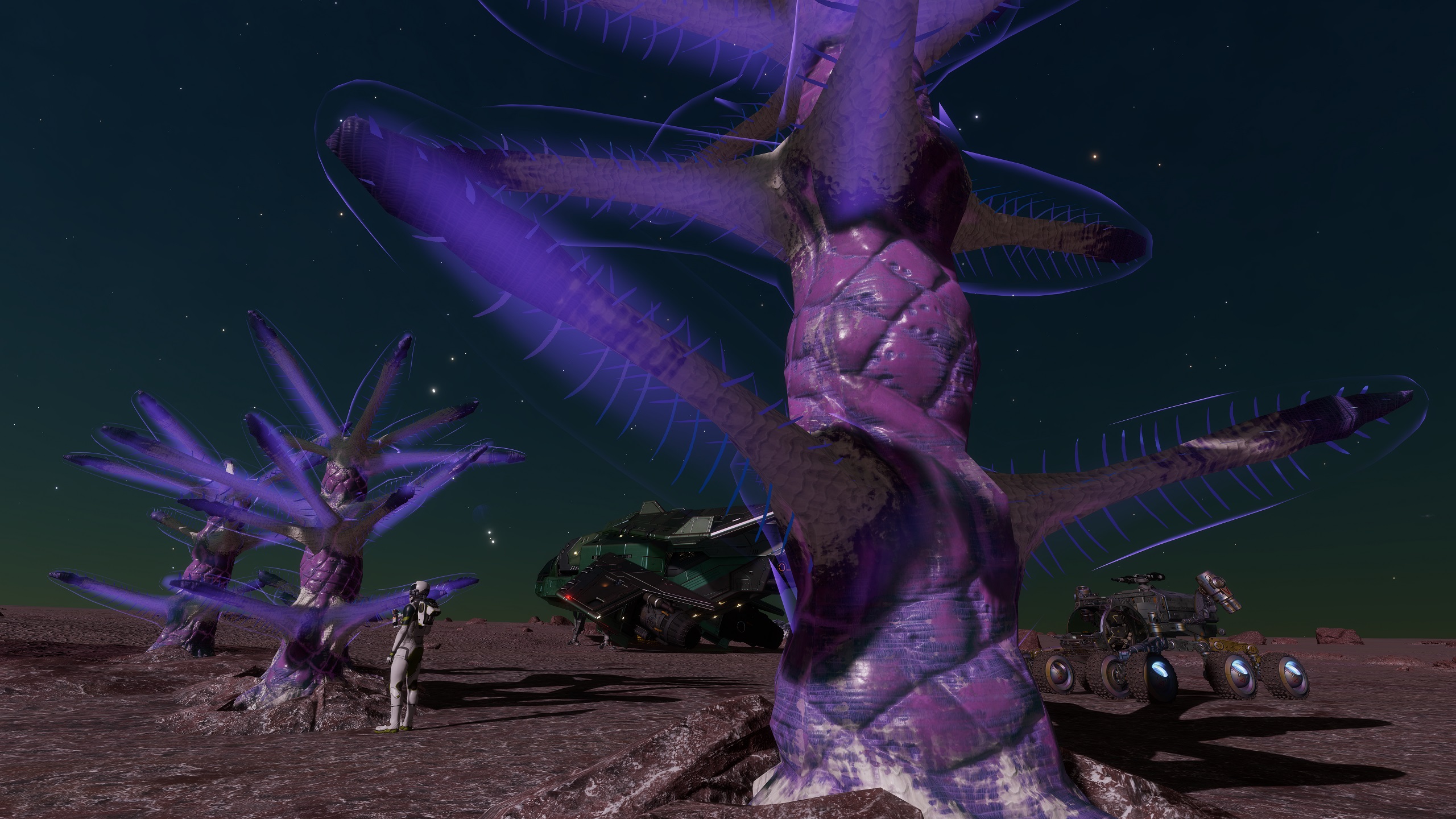 purple moon.jpg