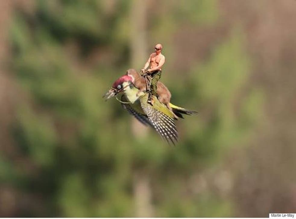 putin on weasel on woodpecker.jpg