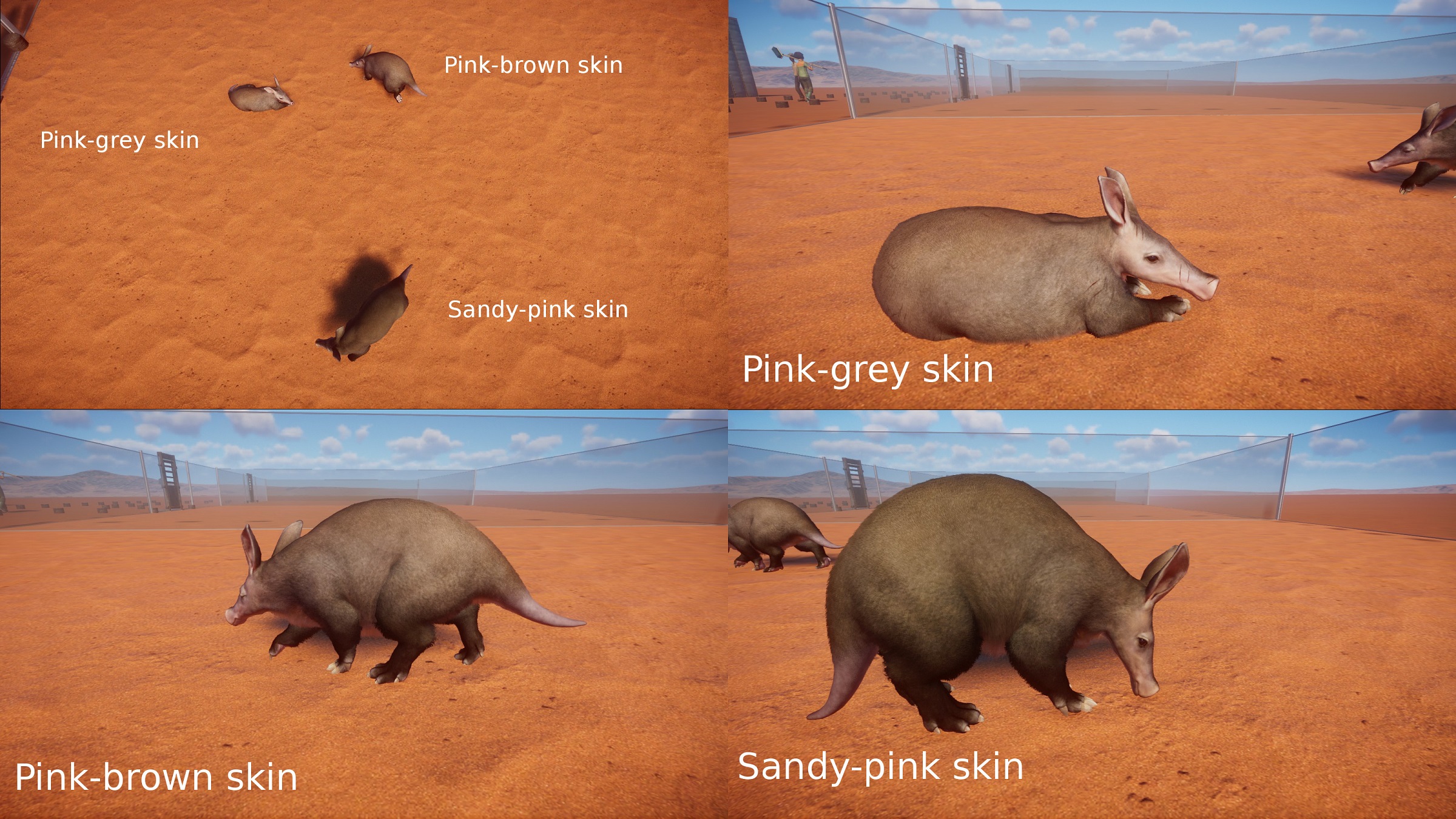 PZ Aardvark.jpg