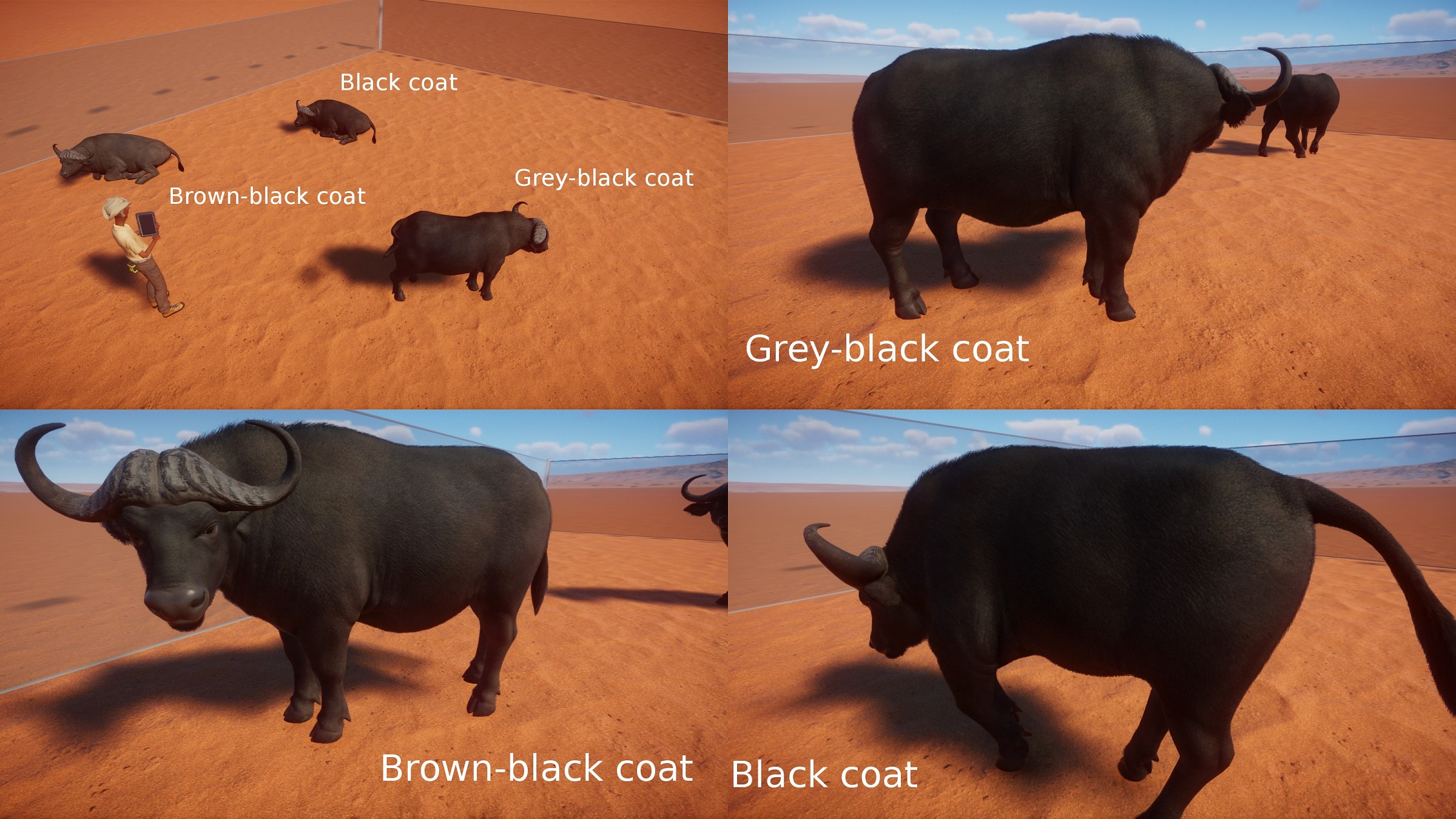 PZ African Buffalo.jpg