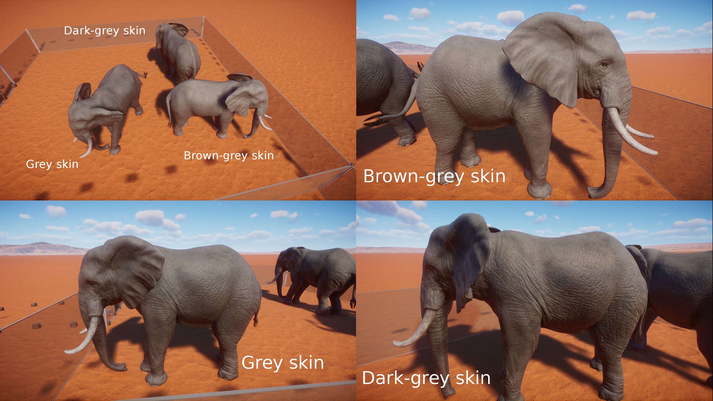 PZ African Elephant.jpg