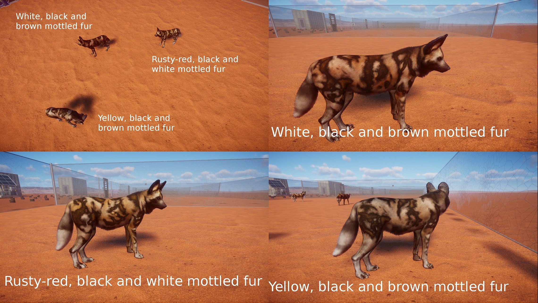 PZ African Wild Dog.jpg