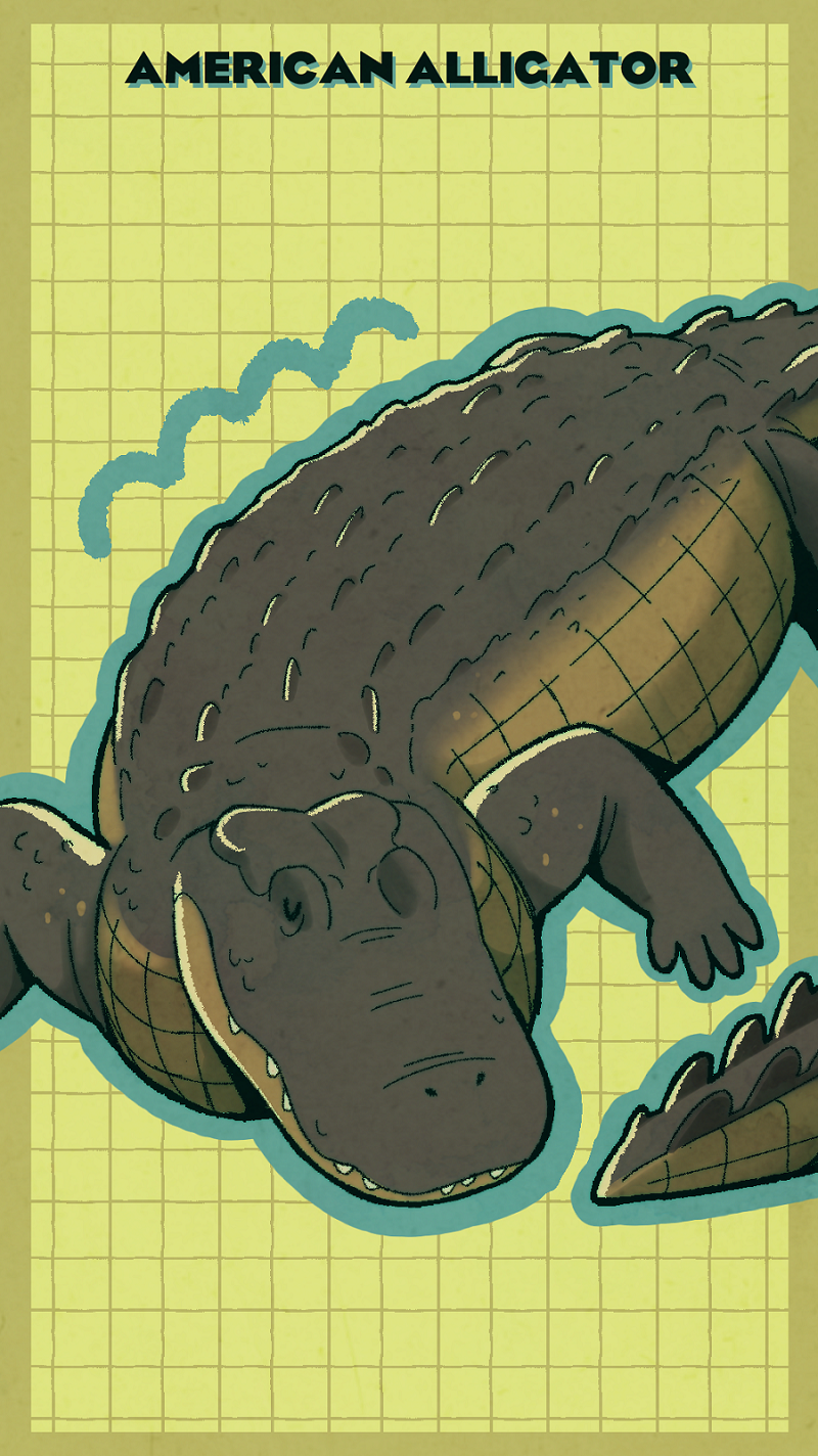 PZ Banners American Alligator.png