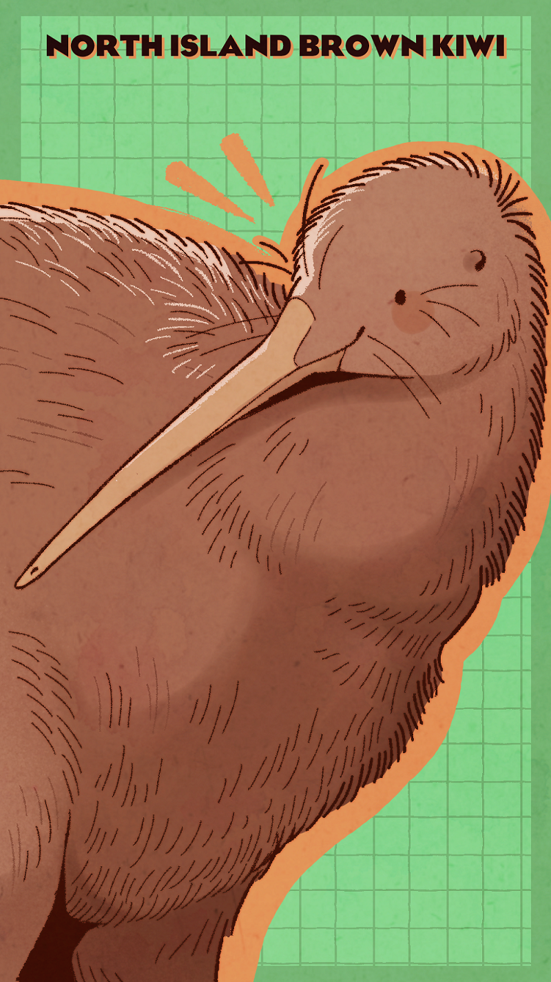 PZ Banners North Island Brown Kiwi.png