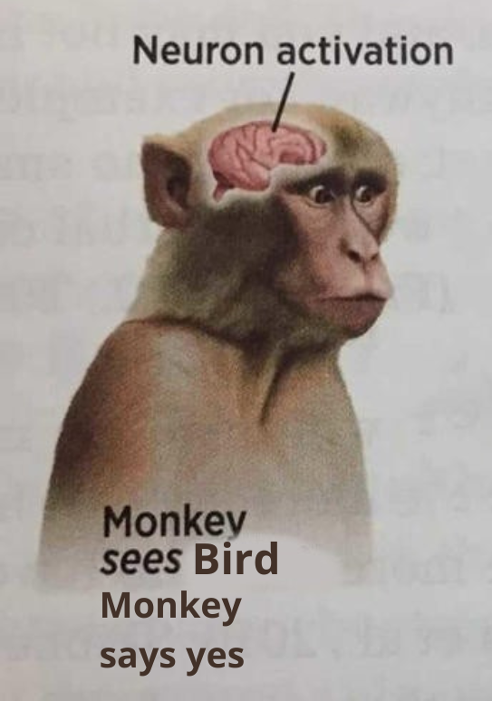 PZ BIRD.png