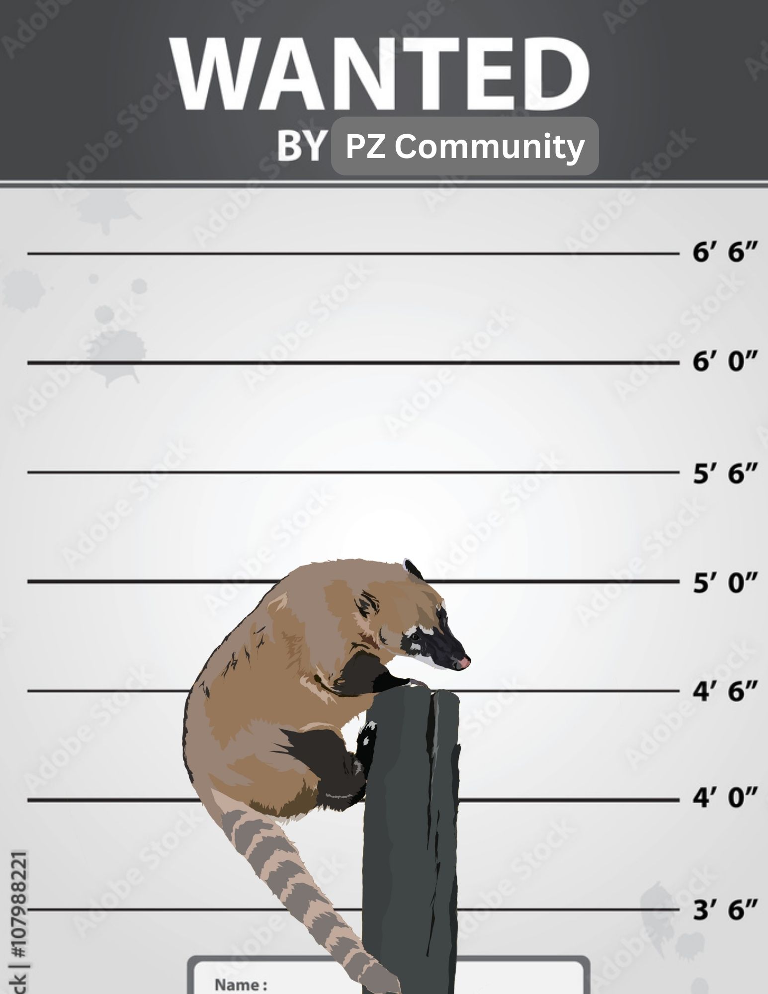 PZ Community.jpg