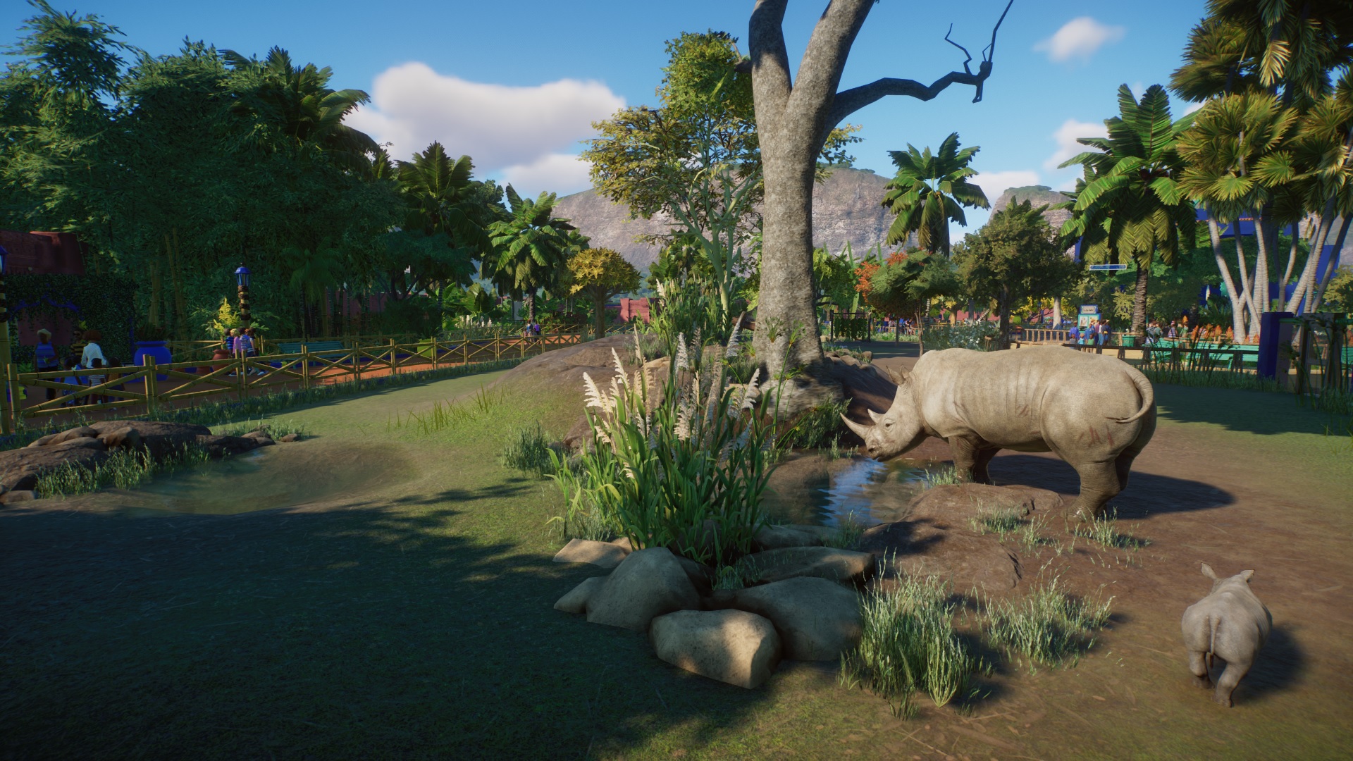 pz rhinoceros blanc family.jpg