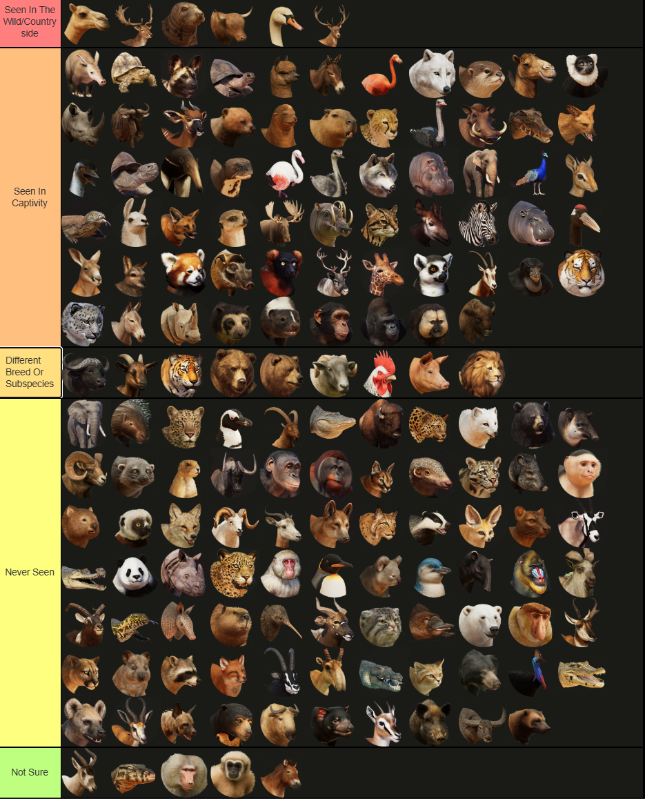 PZ Seen In Real Life Tierlist.png