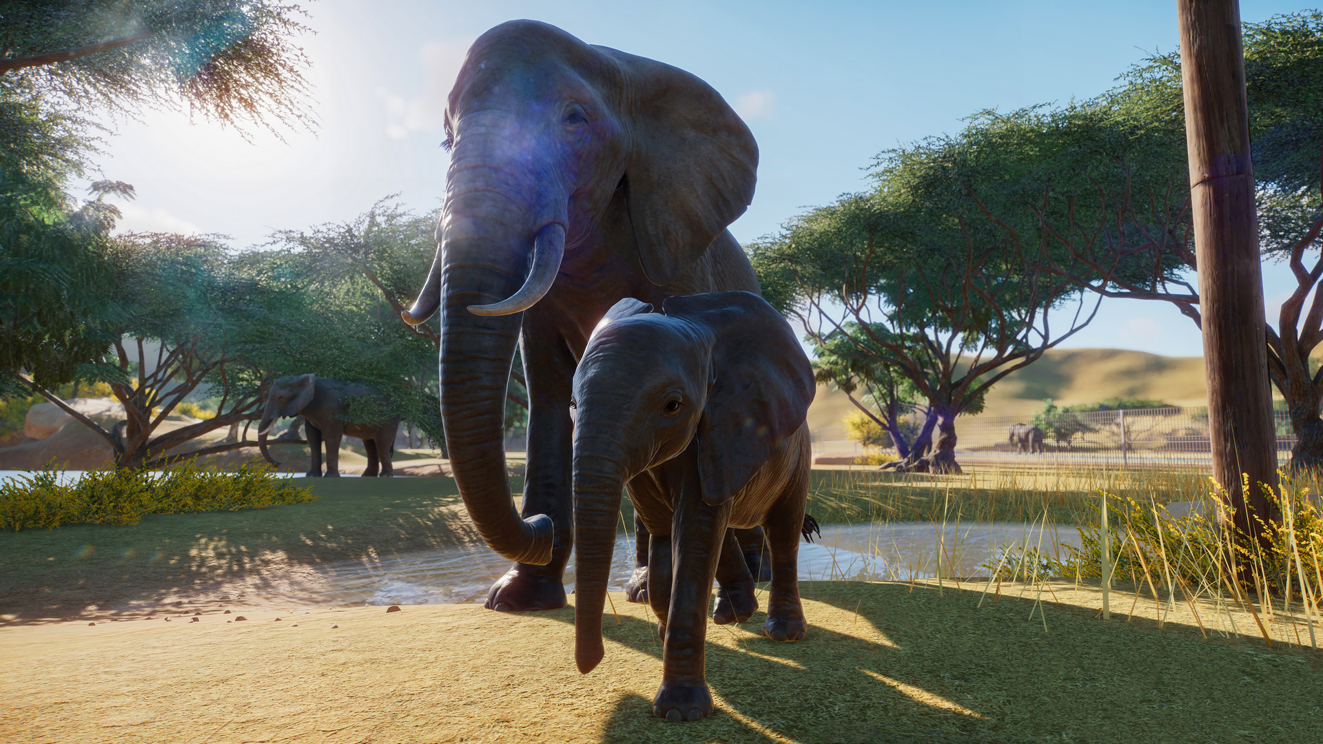 PZ_African Elephant_1_1920x1080.jpg