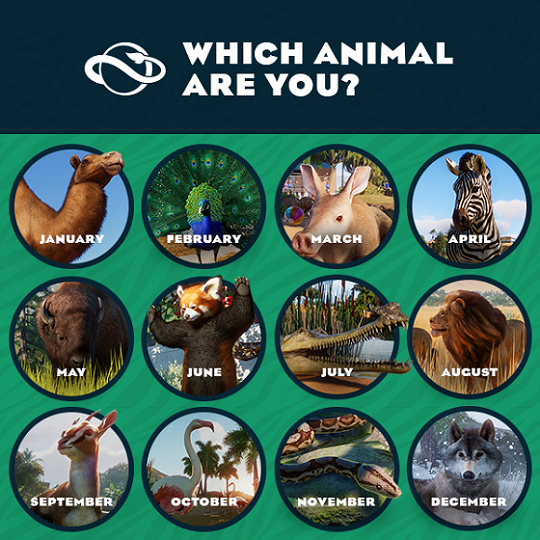 PZ_animal_month_quiz_600x600.png